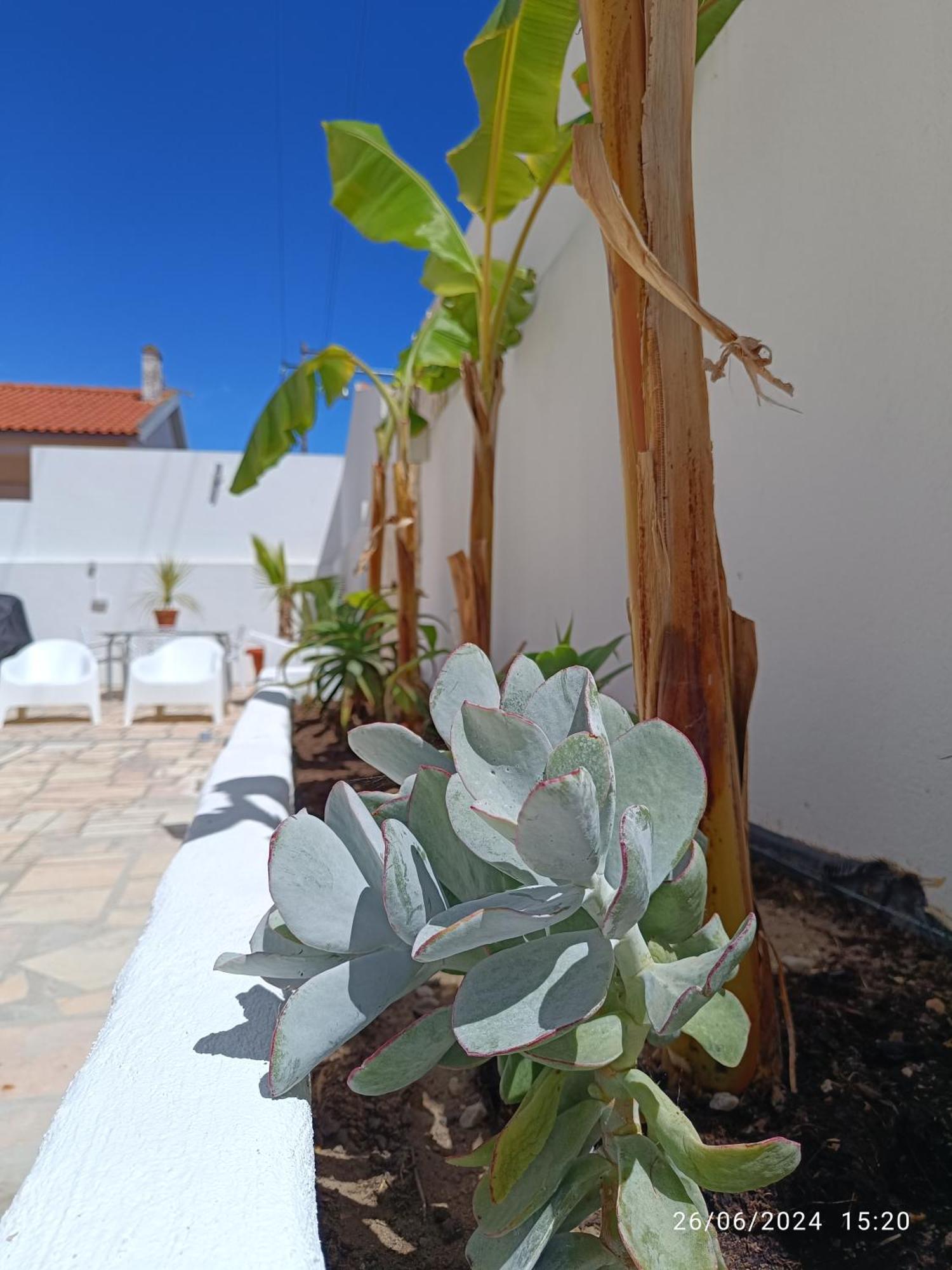 Supertubos House Peniche Bed & Breakfast Atouguia Da Baleia Exterior photo