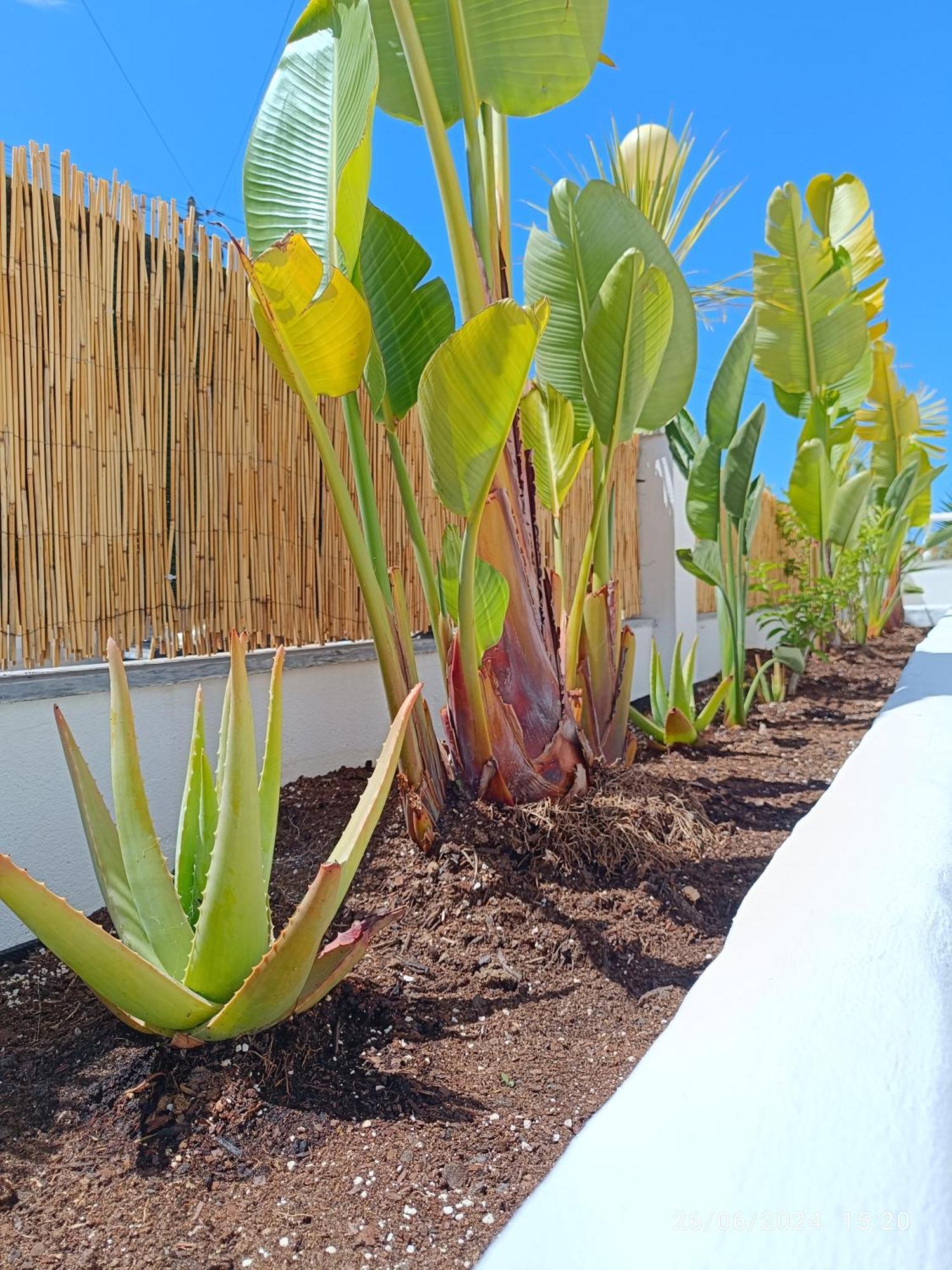 Supertubos House Peniche Bed & Breakfast Atouguia Da Baleia Exterior photo